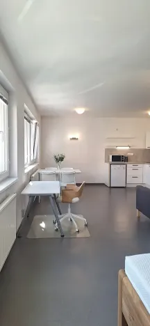 Pronájem bytu 1+kk, Brno, Stará, 46 m2