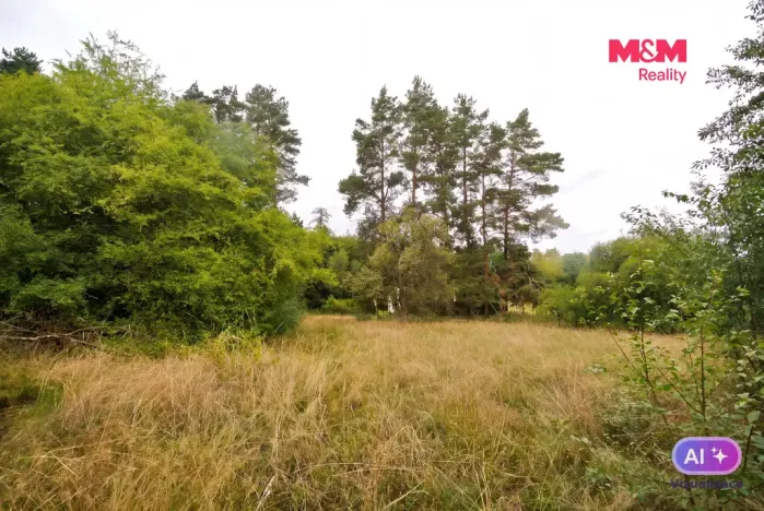 Prodej pozemku pro bydlení, Družec, 2828 m2