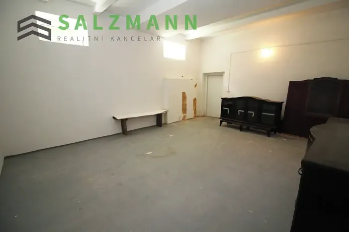 Prodej skladu, Plzeň, Francouzská třída, 39 m2