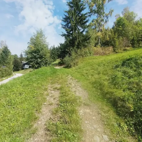 Prodej chalupy, Strážné, 200 m2
