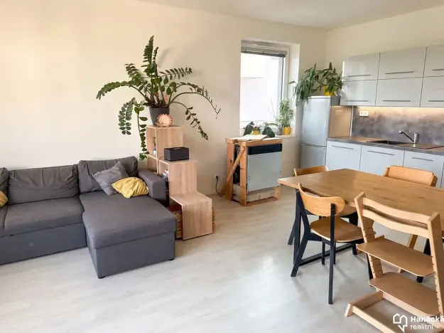 Pronájem bytu 2+kk, Olomouc, Slavonínská, 59 m2