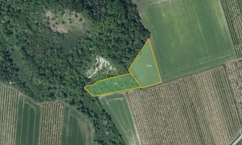 Prodej pole, Želkovice, 133318 m2