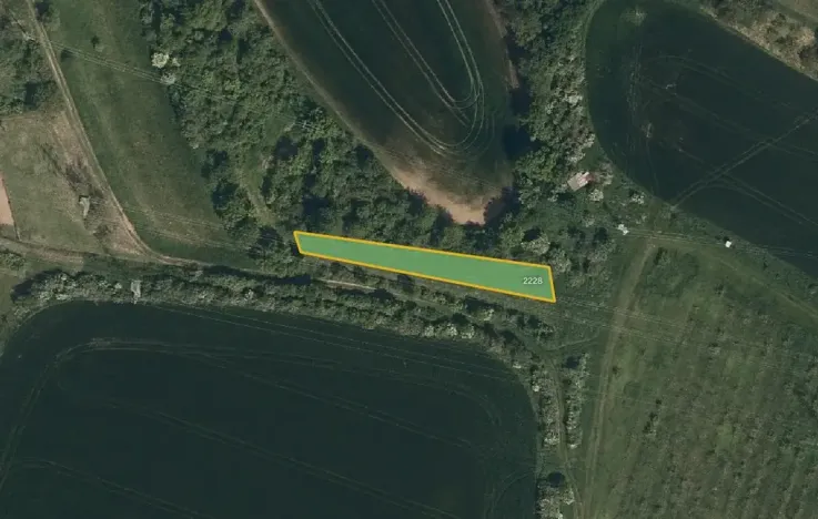 Prodej sadu/vinice, Svatobořice-Mistřín, 5062 m2