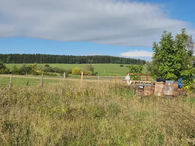Prodej komerčního pozemku, Velká Hleďsebe, K Malé Hleďsebi, 28305 m2
