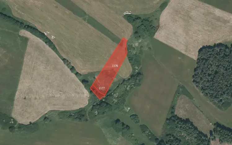 Prodej louky, Pačejov, 4740 m2