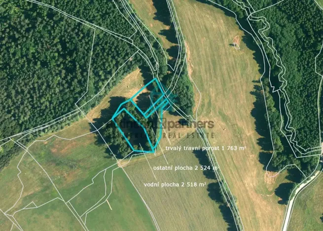 Prodej pozemku, Benešov nad Černou - Klení, 6805 m2