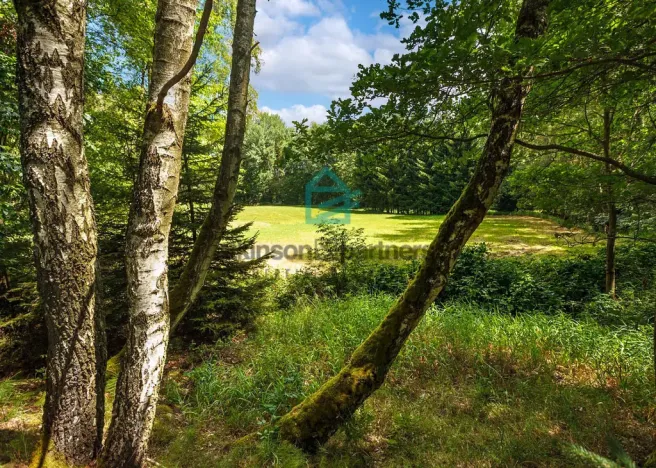 Prodej pozemku, Benešov nad Černou - Klení, 6805 m2