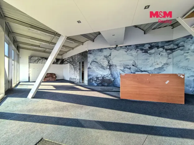 Pronájem obchodního prostoru, Ústí nad Orlicí, Královéhradecká, 117 m2