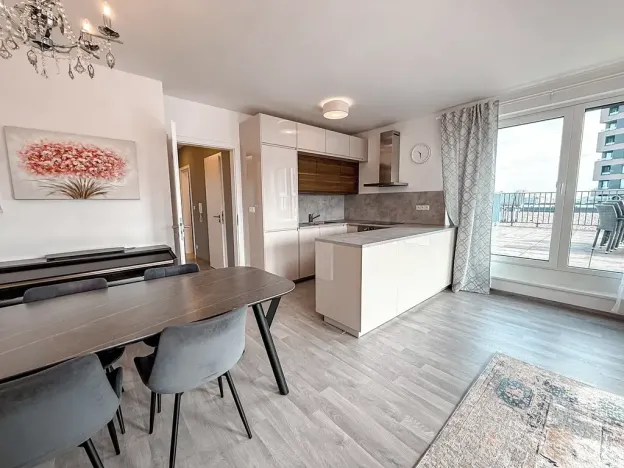 Pronájem bytu 3+kk, Praha - Žižkov, Olgy Havlové, 110 m2
