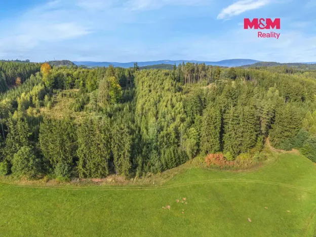 Prodej lesa, Vidochov, 8513 m2