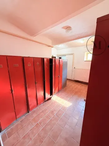 Pronájem výrobních prostor, Netolice, Mírové Náměstí, 500 m2