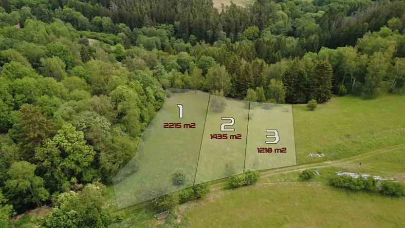 Prodej pozemku pro bydlení, Planá, 2215 m2