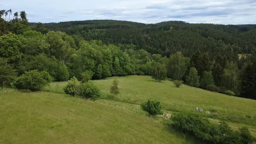 Prodej pozemku pro bydlení, Planá, 1435 m2