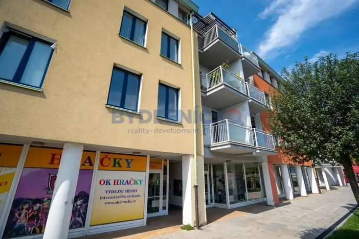 Prodej bytu 2+1, Písek, Čechova, 53 m2