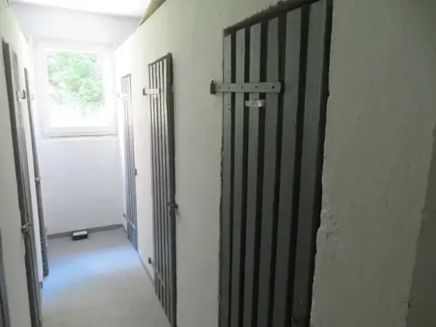 Dražba bytu 3+1, Kraslice, Čs. armády, 69 m2