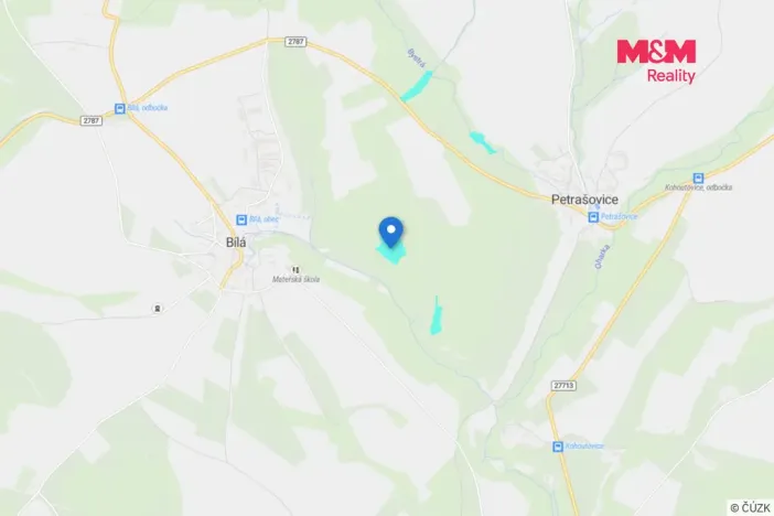 Prodej lesa, Bílá, 22447 m2