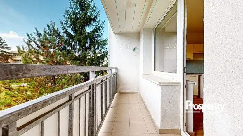 Prodej bytu 1+1, Teplice - Trnovany, Palackého, 36 m2