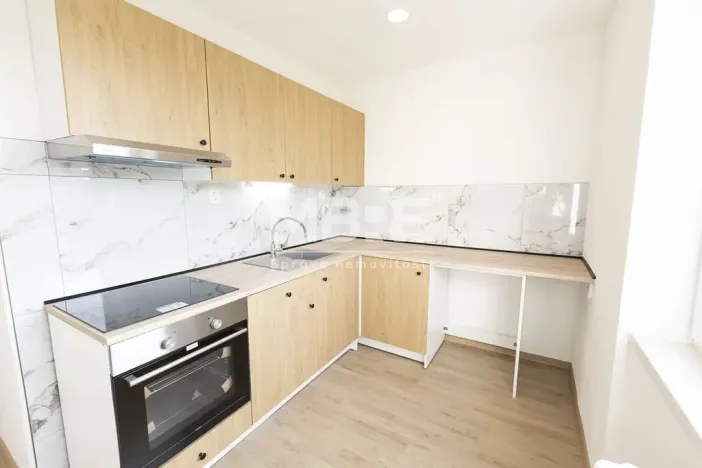 Pronájem bytu 1+1, Karviná - Mizerov, Borovského, 36 m2