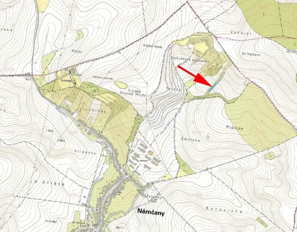 Prodej lesa, Němčany, 1773 m2
