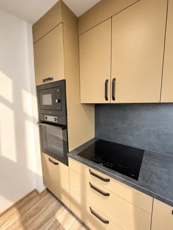Pronájem bytu 3+kk, Rychnov nad Kněžnou, Janáčkova, 66 m2