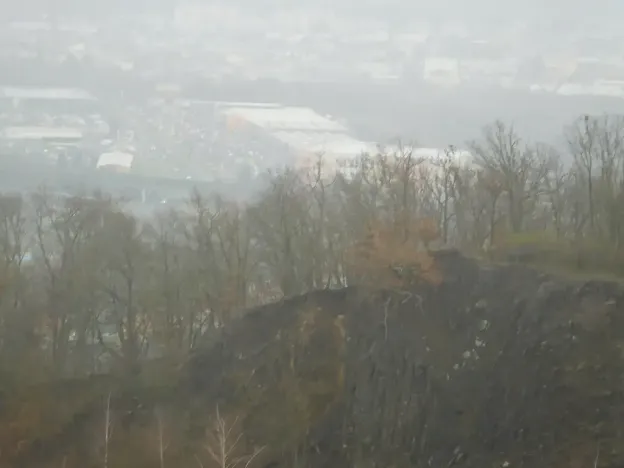 Dražba pozemku, Trmice, 3051 m2