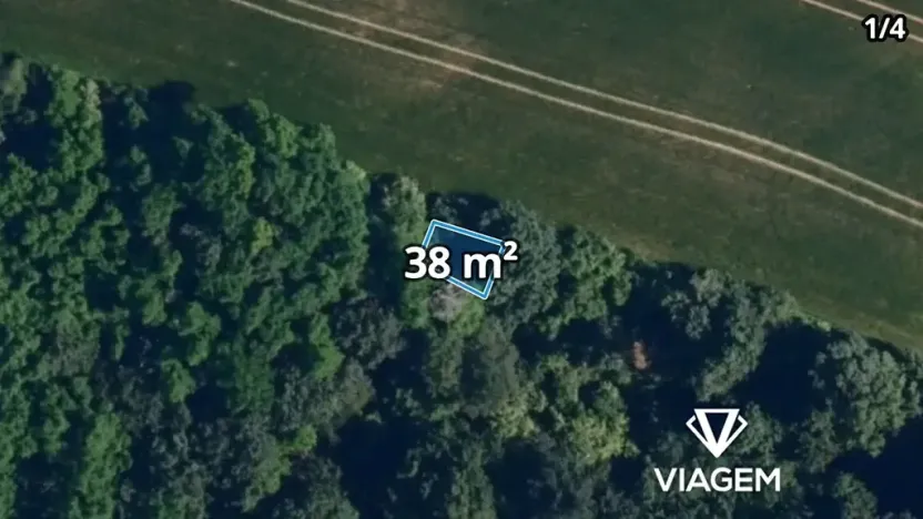 Prodej podílu lesa, Lukovany, 4460 m2