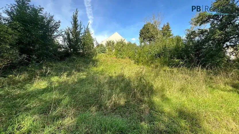 Prodej pozemku pro bydlení, Ledce, 9180 m2