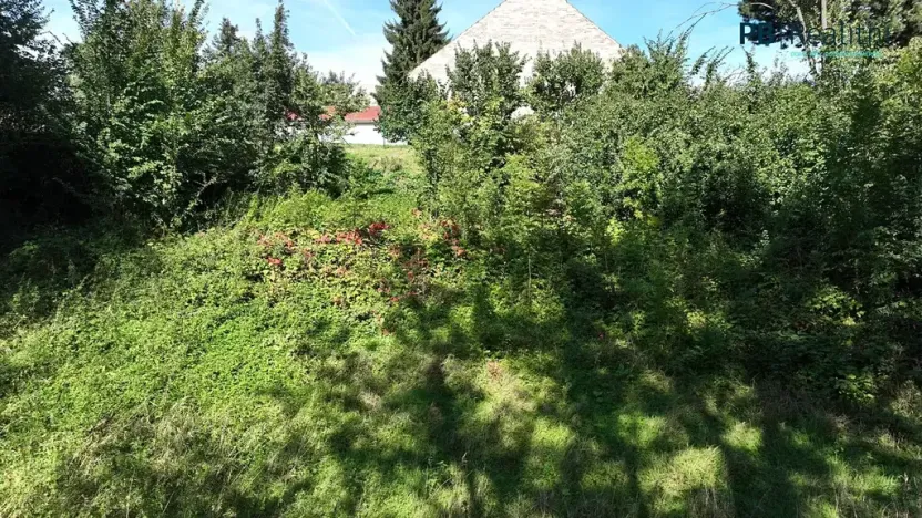 Prodej pozemku pro bydlení, Ledce, 9180 m2