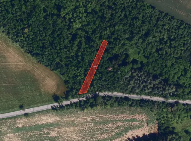 Prodej pole, Ořechov, 12121 m2