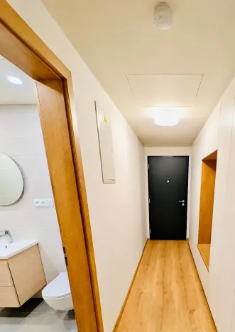 Pronájem bytu 1+kk, Praha - Vysočany, Střídavá, 36 m2