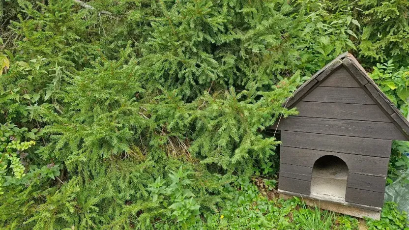 Prodej chaty, Valšov, 82 m2