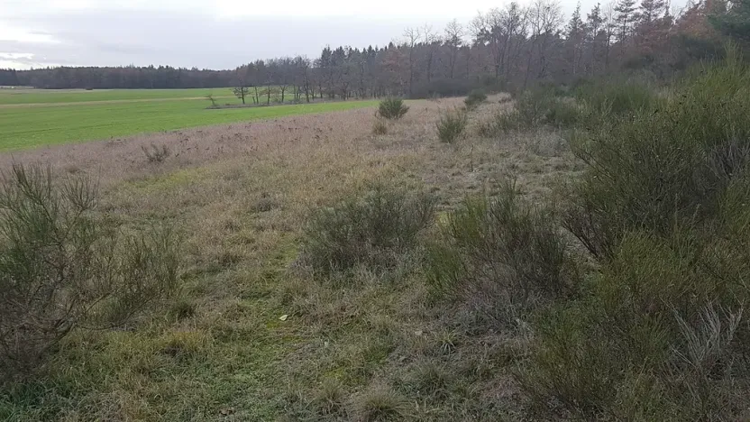 Prodej louky, Stará Huť, 3629 m2