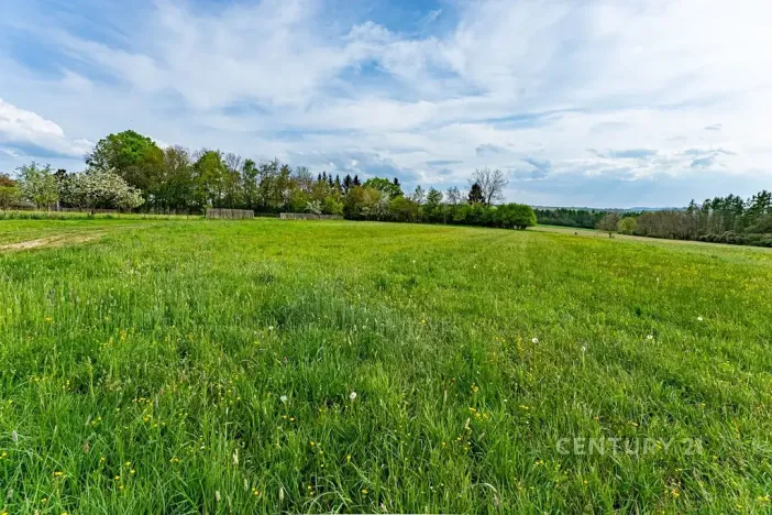 Prodej rodinného domu, Loket, 80 m2