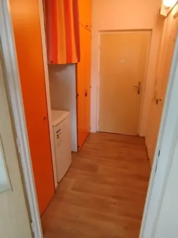 Pronájem bytu 1+kk, Brno, Halasovo náměstí, 22 m2