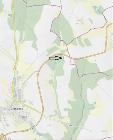 Prodej lesa, Česká Bělá, 1714 m2