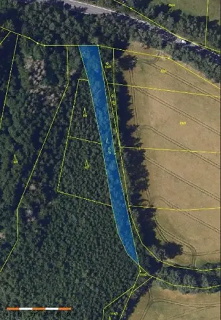 Prodej lesa, Česká Bělá, 1714 m2