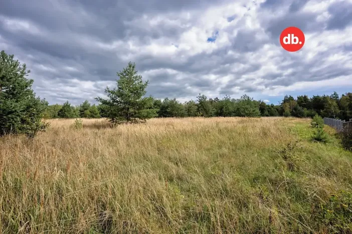 Prodej pozemku pro bydlení, Sadov, 3921 m2