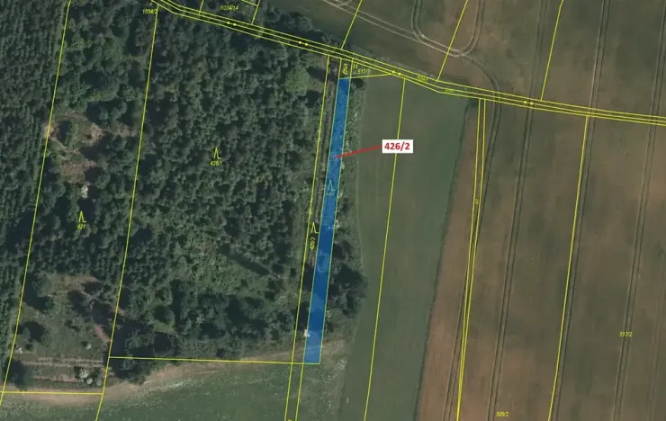 Dražba lesa, Volfířov, 592 m2