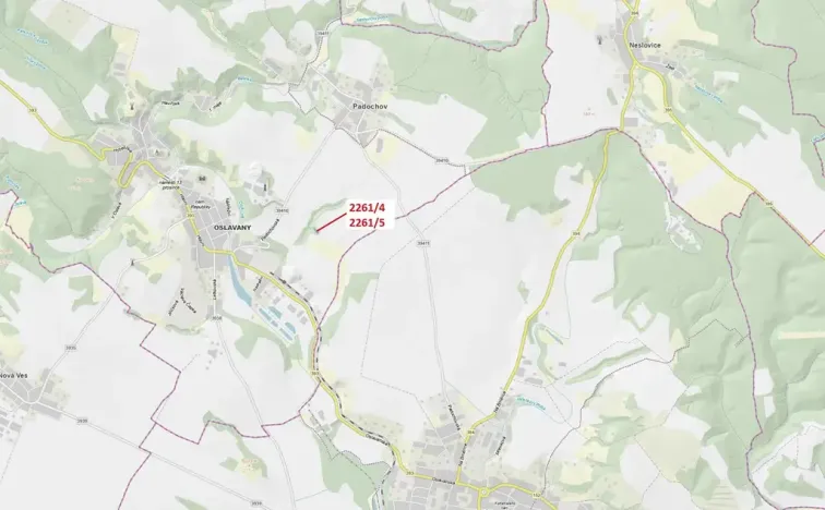 Dražba lesa, Oslavany, 919 m2