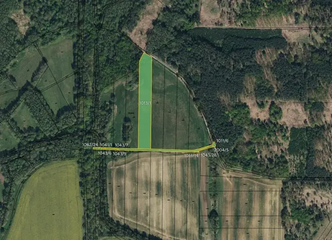 Prodej louky, Lázně Bohdaneč, 10075 m2