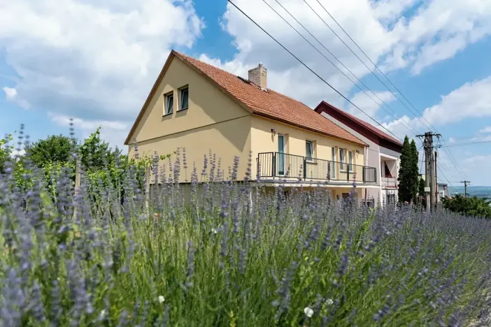 Prodej rodinného domu, Pavlov, 265 m2