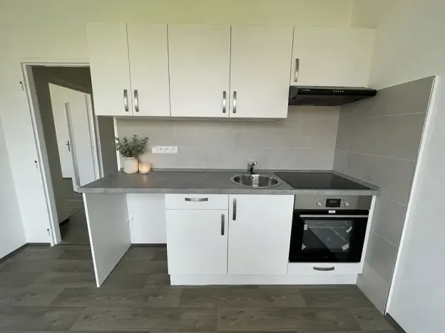 Pronájem bytu 1+1, Litvínov, U Bílého sloupu, 40 m2