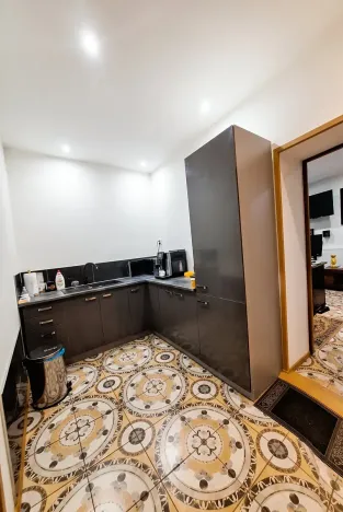 Prodej vícegeneračního domu, Brno, Krajní, 396 m2