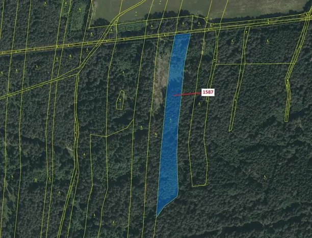Dražba lesa, Nová Bystřice, 11125 m2