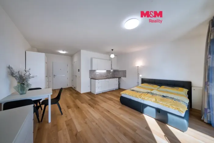 Prodej bytu 1+kk, Mladá Boleslav - Mladá Boleslav III, Vondřichova, 38 m2