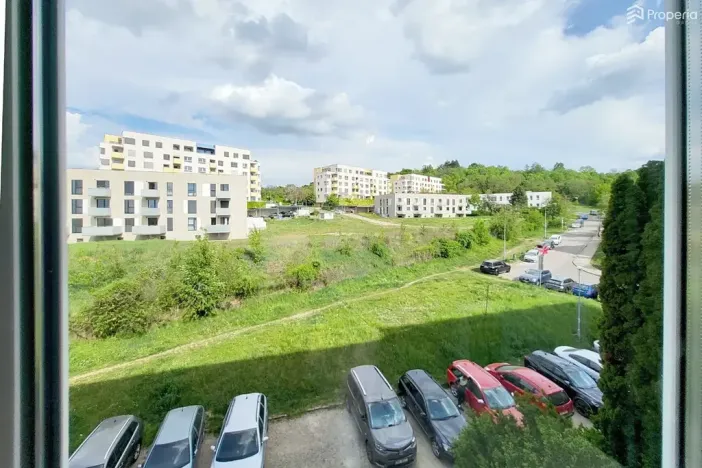 Prodej bytu 2+1, Brno, Došlíkova, 52 m2