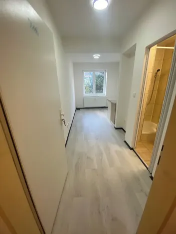 Pronájem bytu 1+kk, Praha - Hlubočepy, Na Zlíchově, 17 m2