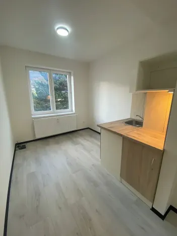 Pronájem bytu 1+kk, Praha - Hlubočepy, Na Zlíchově, 17 m2