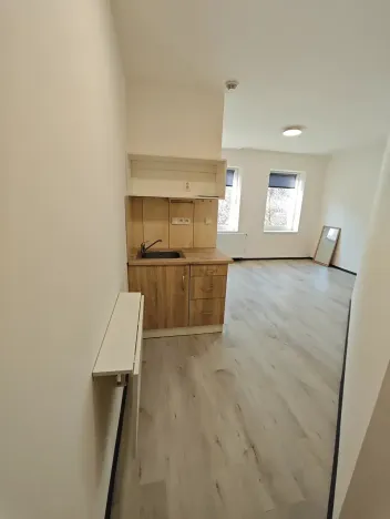 Pronájem bytu 1+kk, Praha - Hlubočepy, Na Zlíchově, 17 m2