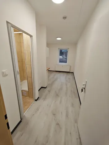 Pronájem bytu 1+kk, Praha - Hlubočepy, Na Zlíchově, 17 m2